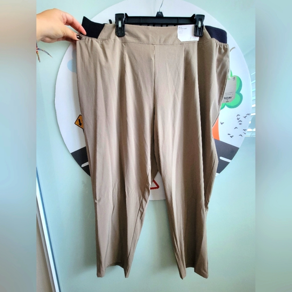 Mid rise flat front pant